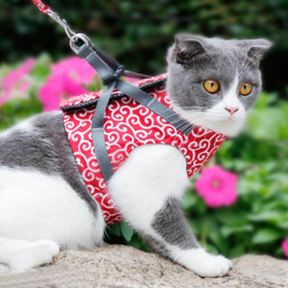 Adjustable Cat Harness Set