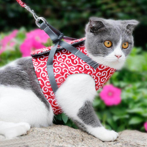 Adjustable Cat Harness Set