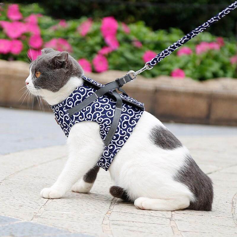 Adjustable Cat Harness Set