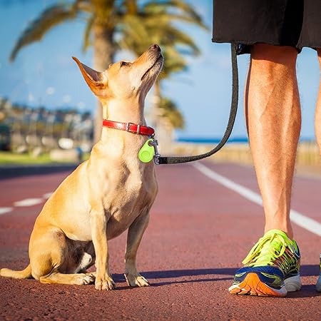 PAWTRACK GPS Pet Tracker