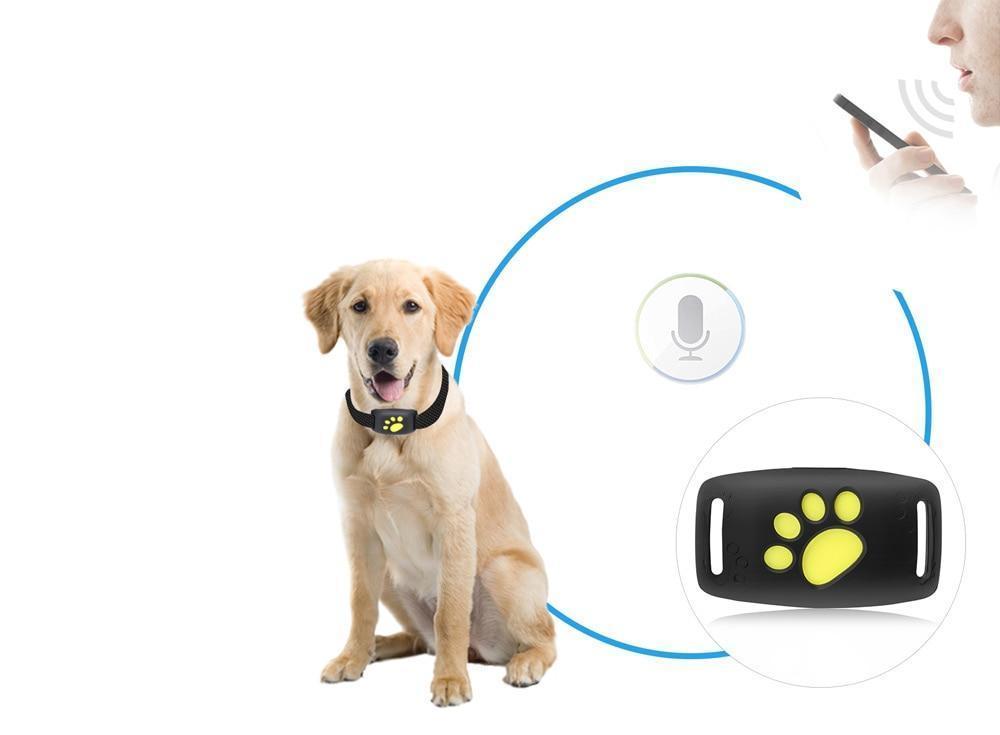 TrackCat GPS Cat Tracker